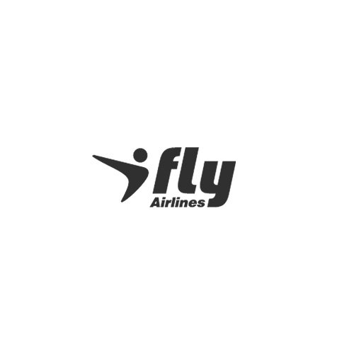 Fly